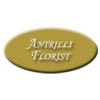 Antrilli Florist Logo