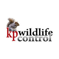 K.P. Wildlife Control and Repairs LLC Logo