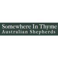 Somewhere In Thyme Logo