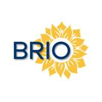 Brio-Medical Logo