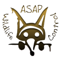 ASAP Wildlife Control and Removal - North Carolina Logo