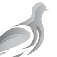 Pheasant Energy Logo