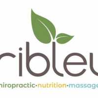 Ribley Family Chiropractic Logo