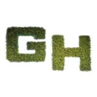 The Greenhouse TN Logo