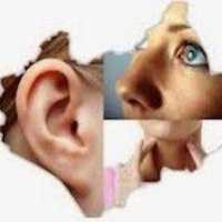 Integrative Ear Nose Throat Sinus: Garrison Morin, MD Logo