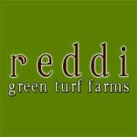 Reddi Green Turf Farms Logo