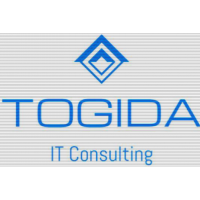 Togida LLC Logo