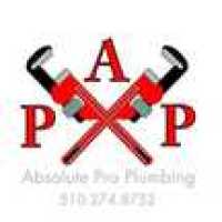 Absolute Pro Plumbing, Inc Logo