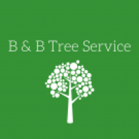 B&B Queen City Tree Service Logo