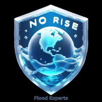 No Rise Flood Experts Logo