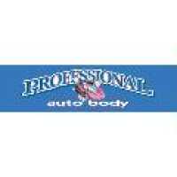Professional Auto Body Logo