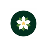 Magnolia Landscapes and Magnolia Tree Service Logo