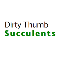 Dirty Thumb Succulents Logo