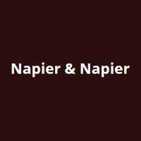 Napier & Napier Logo