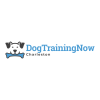 Dog Training Now Charleston Logo