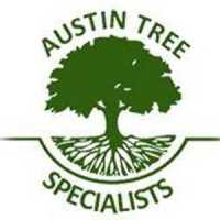 Austin Tree Specialists Logo