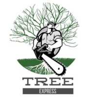 Tree Express Logo
