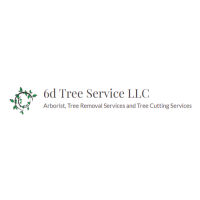 6d Tree Service LLC Logo