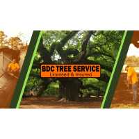 BDC Tree Service Logo