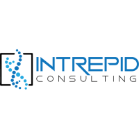 Intrepid Consulting LLC Logo
