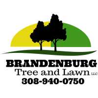 Brandenburg Tree & Lawn LLC Logo
