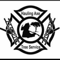 Hauling Axe Tree Service Logo