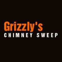Grizzly's Chimney Service, Inc Logo