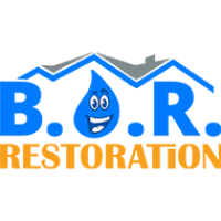 Best Option Restoration in Arizona Logo