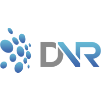 DnR IT Solutions LLP Logo