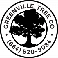 Greenville Tree Co. Logo