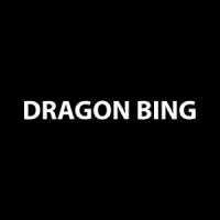 Dragon Bing Logo