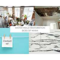 Water Mold Restoration Boss of Miami Logo