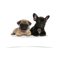 Frenchie-Pugs Logo