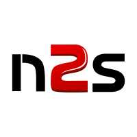 Net2Source - Global Workforce Solution Company, Plano, Tx Logo
