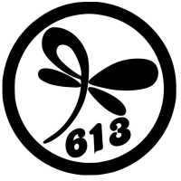613 Designs More Logo
