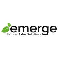 Emerge Natural Sales Solutions Logo