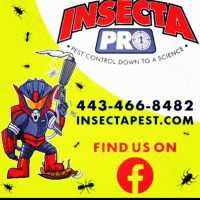 Insecta pro Logo