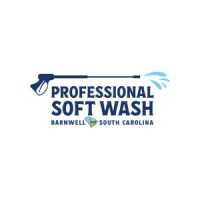 Professional Soft Wash Logo