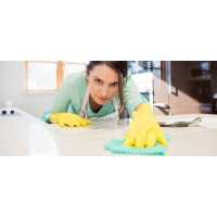 At Your Service Cleaning LLC Logo