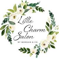 Little Charm Salon Logo