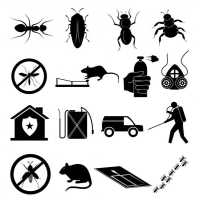 Pest Exterminator in Pahoa, HI Logo