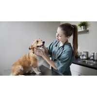 Veterinary Center Family Pet Care Logo