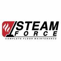 Steam Force Carpet Cleaning LLC Logo