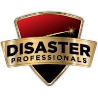 Disaster Professionals Logo