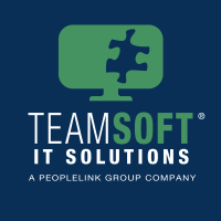 TeamSoft Logo