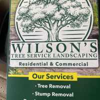 Wilson Tree Service LLC Logo