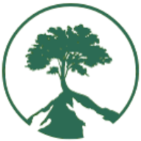 Arbor Vita Logo
