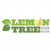 Lemon Tree Hair Salon Lawton Logo