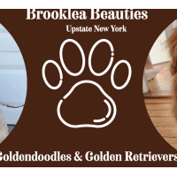 Brooklea Beauties Logo
