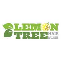 Lemon Tree Hair Salon of Keller Logo